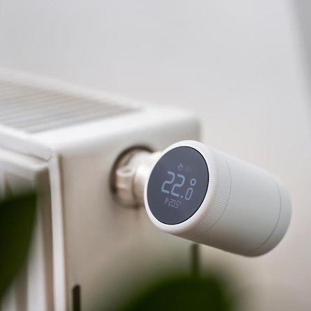 Edler Wohnraum Schwanenteich-Suite Mit Balkon, Kaffeevollautomat, Lift & Parkplatz Zwickau Eksteriør bilde